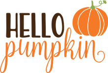 Load image into Gallery viewer, Fall Pumpkin everything
