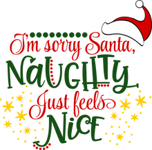 Load image into Gallery viewer, Christmas Sarcastic Sayings
