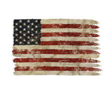 Load image into Gallery viewer, All American Flags
